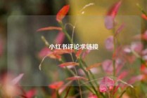 小红书评论求链接