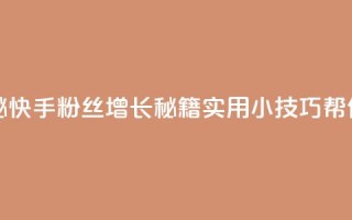 快手粉丝如何 - 揭秘快手粉丝增长秘籍！实用小技巧帮你增加粉丝！~