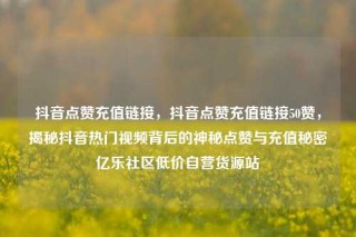 抖音点赞充值链接，抖音点赞充值链接50赞，揭秘抖音热门视频背后的神秘点赞与充值秘密亿乐社区低价自营货源站