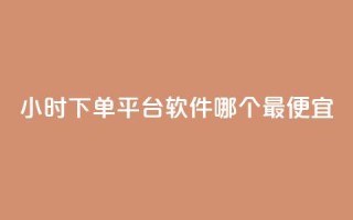 24小时下单平台软件哪个最便宜,24小时免费快手下单平台 - 快手播放量推送软件 - 今日头条粉丝24小时下单