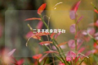 二手手机拿货平台