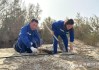 大国工程看新疆·践四力改文风丨“把树守好了，路就好了！”