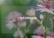 一件代发网店货源