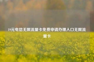 19元电信无限流量卡免费申请办理入口无限流量卡