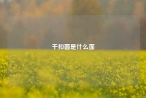 干扣面是什么面