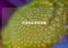 玖伍社区系统货源