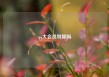 qq大会员划算吗