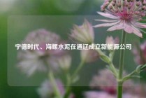 宁德时代、海螺水泥在通辽成立新能源公司