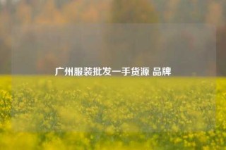 广州服装批发一手货源 品牌