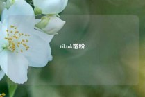 tiktok增粉
