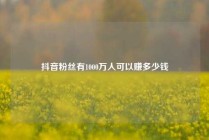 抖音粉丝有1000万人可以赚多少钱