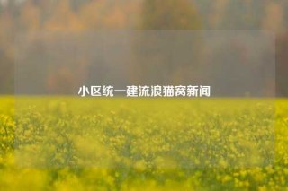 小区统一建流浪猫窝新闻