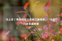 马上评｜黄杨钿甜父亲被立案调查，“坑爹”只是表面叙事