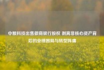 中粮科技出售徽商银行股权 剥离非核心资产背后的业绩困局与转型阵痛