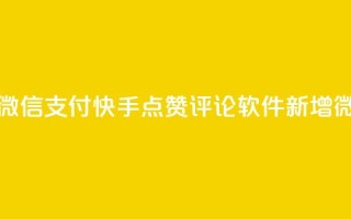 快手点赞评论软件微信支付 - 快手点赞评论软件新增微信支付功能~