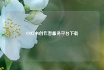 小红书创作者服务平台下载
