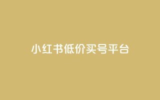 小红书低价买号平台 - 小红书便宜购买账号的方法揭秘。