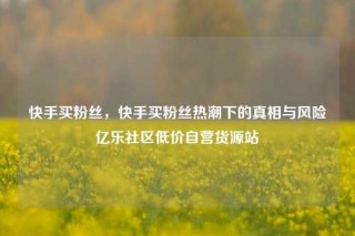 快手买粉丝，快手买粉丝热潮下的真相与风险亿乐社区低价自营货源站