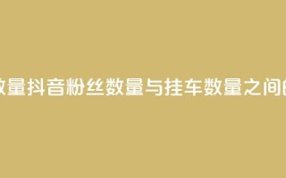 抖音粉丝和挂车数量 - 抖音粉丝数量与挂车数量之间的关系解析。