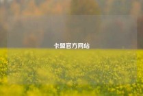 卡盟官方网站