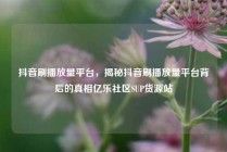 抖音刷播放量平台，揭秘抖音刷播放量平台背后的真相亿乐社区SUP货源站
