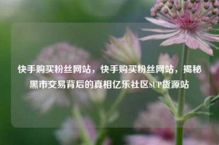 快手购买粉丝网站，快手购买粉丝网站，揭秘黑市交易背后的真相亿乐社区SUP货源站