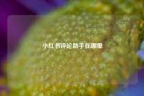 小红书评论助手在哪里