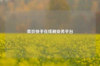 低价快手在线刷业务平台