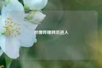 哔哩哔哩网页进入
