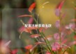 配置注册表项无效