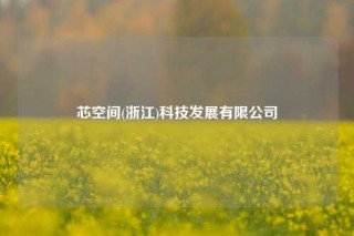 芯空间(浙江)科技发展有限公司
