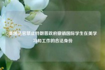 美国法官禁止特朗普政府撤销国际学生在美学习和工作的合法身份