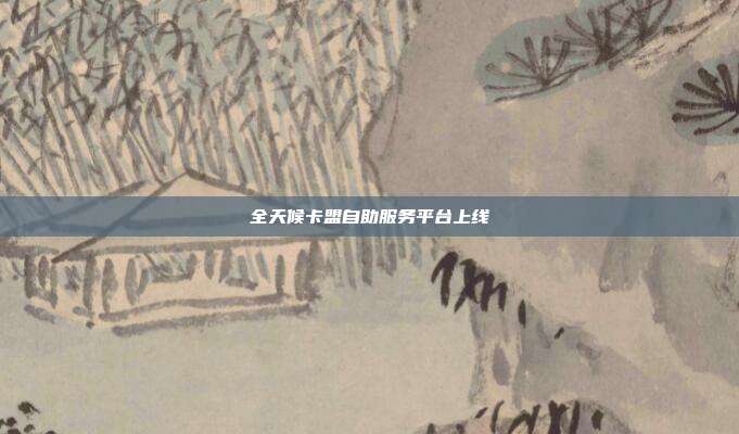 全天候卡盟自助服务平台上线  第1张