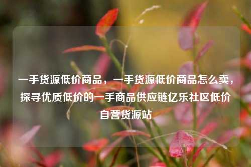一手货源低价商品，一手货源低价商品怎么卖，探寻优质低价的一手商品供应链亿乐社区低价自营货源站  第1张