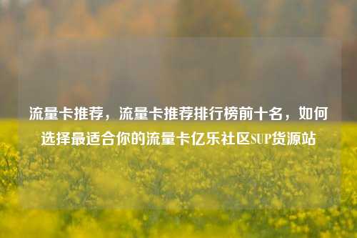 流量卡推荐，流量卡推荐排行榜前十名，如何选择最适合你的流量卡亿乐社区SUP货源站  第1张