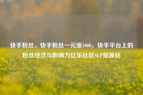 快手粉丝，快手粉丝一元涨1000，快手平台上的粉丝经济与影响力亿乐社区SUP货源站  第1张