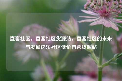 直客社区，直客社区货源站，直客社区的未来与发展亿乐社区低价自营货源站  第1张