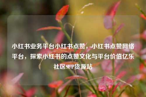 小红书业务平台小红书点赞，小红书点赞网络平台，探索小红书的点赞文化与平台价值亿乐社区SUP货源站  第1张