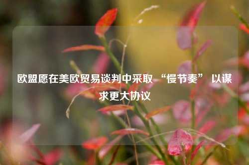 欧盟愿在美欧贸易谈判中采取 “慢节奏” 以谋求更大协议  第1张