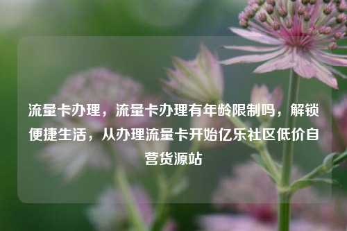 流量卡办理，流量卡办理有年龄限制吗，解锁便捷生活，从办理流量卡开始亿乐社区低价自营货源站  第1张