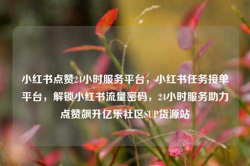 小红书点赞24小时服务平台，小红书任务接单平台，解锁小红书流量密码，24小时服务助力点赞飙升亿乐社区SUP货源站  第1张
