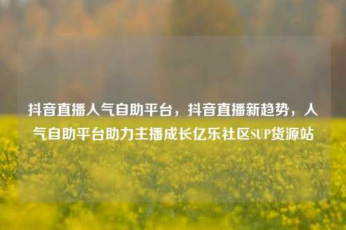 抖音直播人气自助平台，抖音直播新趋势，人气自助平台助力主播成长亿乐社区SUP货源站  第1张