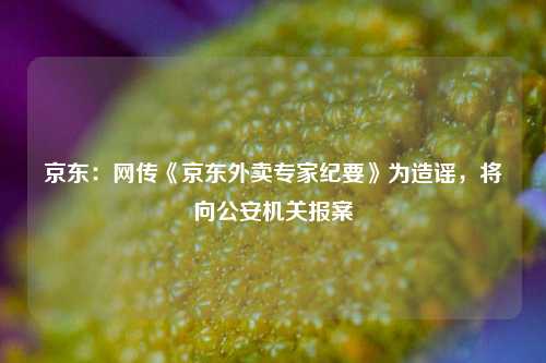 京东：网传《京东外卖专家纪要》为造谣，将向公安机关报案  第1张