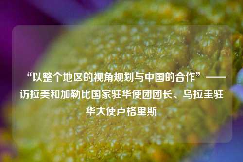 “以整个地区的视角规划与中国的合作”——访拉美和加勒比国家驻华使团团长、乌拉圭驻华大使卢格里斯  第1张