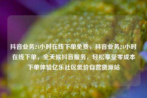 抖音业务24小时在线下单免费，抖音业务24小时在线下单，全天候抖音服务，轻松享受零成本下单体验亿乐社区低价自营货源站  第1张