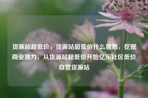 货源站超低价，货源站超低价什么意思，挖掘商业潜力，从货源站超低价开始亿乐社区低价自营货源站  第1张