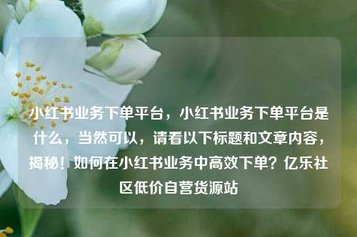 小红书业务下单平台	，小红书业务下单平台是什么，当然可以，请看以下标题和文章内容，揭秘！如何在小红书业务中高效下单？亿乐社区低价自营货源站  第1张