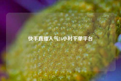 快手直播人气24小时下单平台  第1张