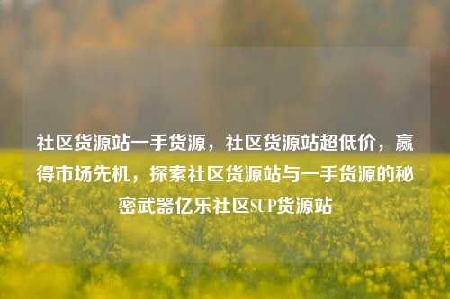 社区货源站一手货源	，社区货源站超低价，赢得市场先机，探索社区货源站与一手货源的秘密武器亿乐社区SUP货源站  第1张