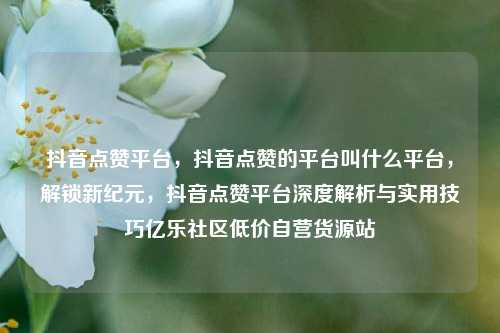 抖音点赞平台，抖音点赞的平台叫什么平台	，解锁新纪元，抖音点赞平台深度解析与实用技巧亿乐社区低价自营货源站  第1张